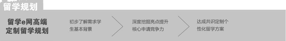 留学e网高端定制留学规划