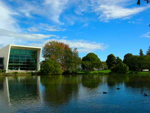 新西兰怀卡托大学 财会金融管理专业较强