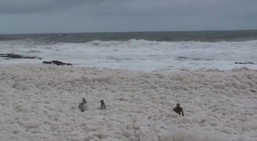 澳大利亚的一个海滩上出现海浪泡沫奇观