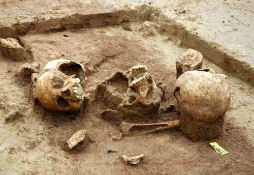 德国发现7000年前大规模人吃人遗迹