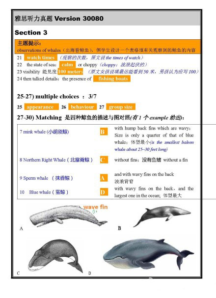8月6日雅思听力机经