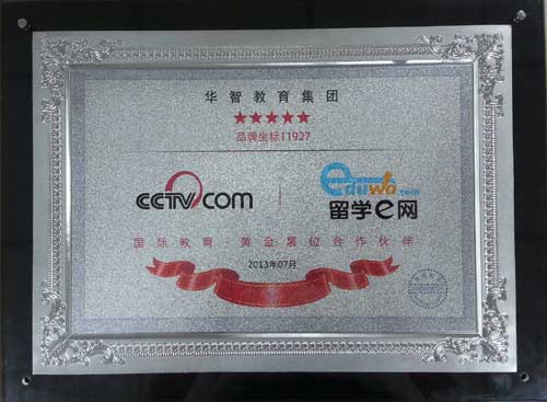 CCTV央视网对留学e网合作的授权铜牌