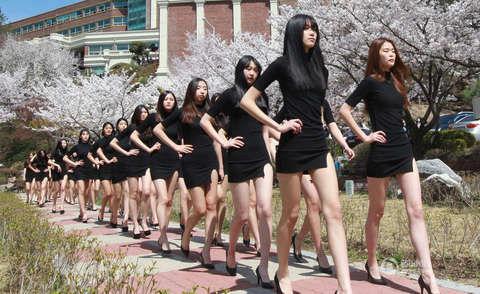 惊艳：韩国模特专业学生在樱花下秀美腿