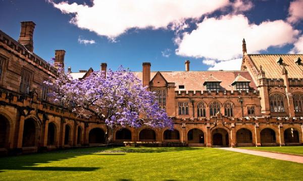 2014澳大利亚悉尼大学学费一共多少?