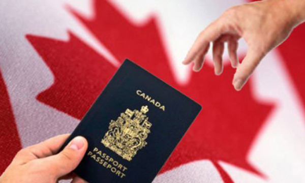 加拿大留学签证拒签后应对方案