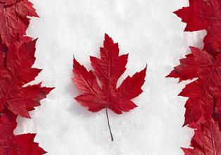 加拿大留学优势在哪里？