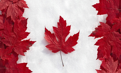 加拿大本科留学有哪些优势？