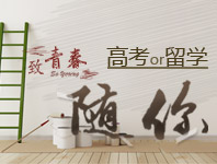 致青春，高考还是留学随你
