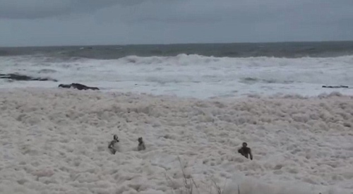 澳大利亚的一个海滩上出现海浪泡沫奇观