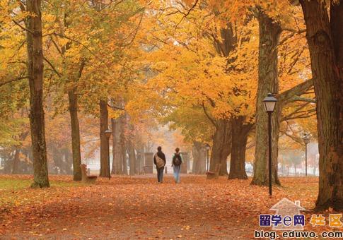 【福布斯】全球最美丽的大学校园