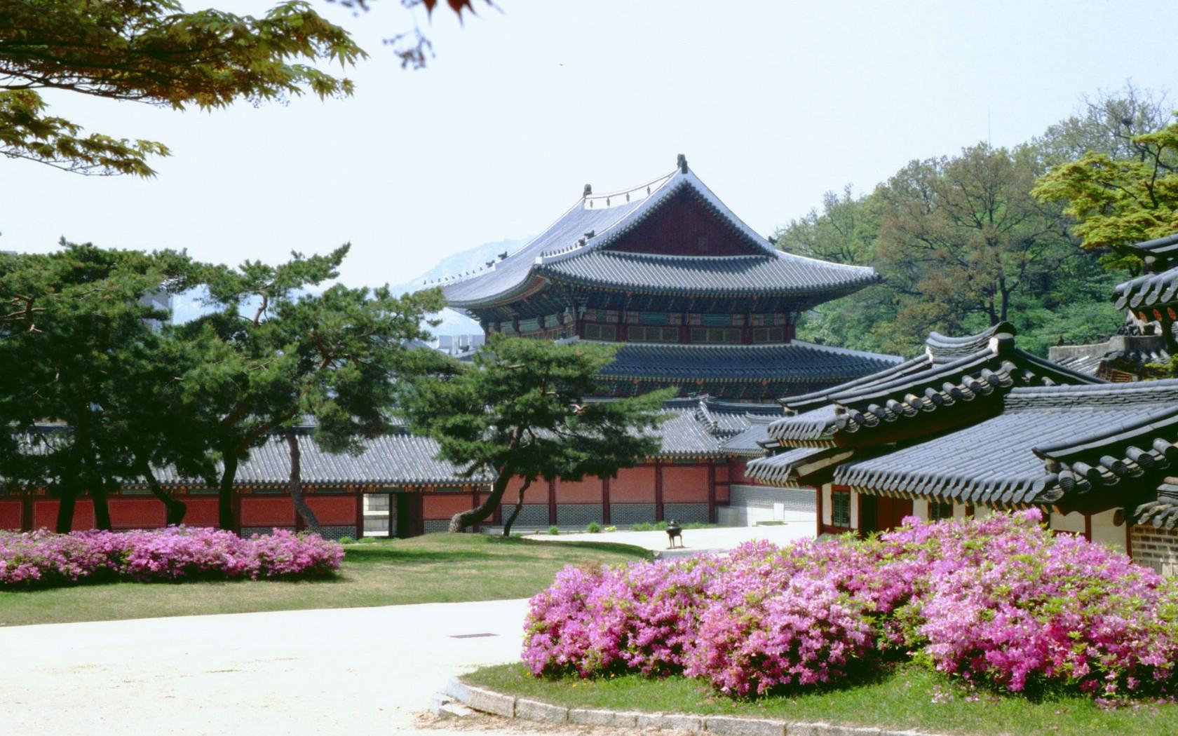 韩国留学党，海归受欢迎