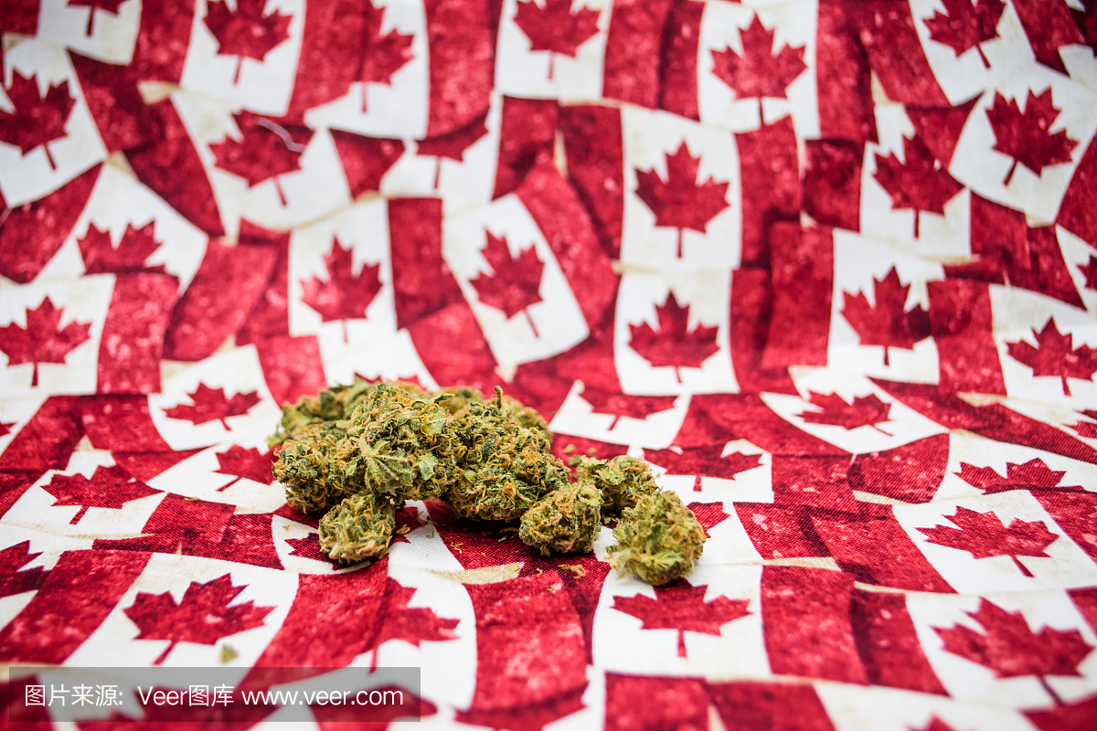 最新统计，加拿大接受多邻国测试成绩申请的本科院校